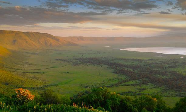 Ngorongoro